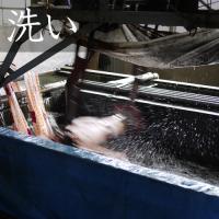 鯉口上下セット　雪輪に桜　ターコイズ